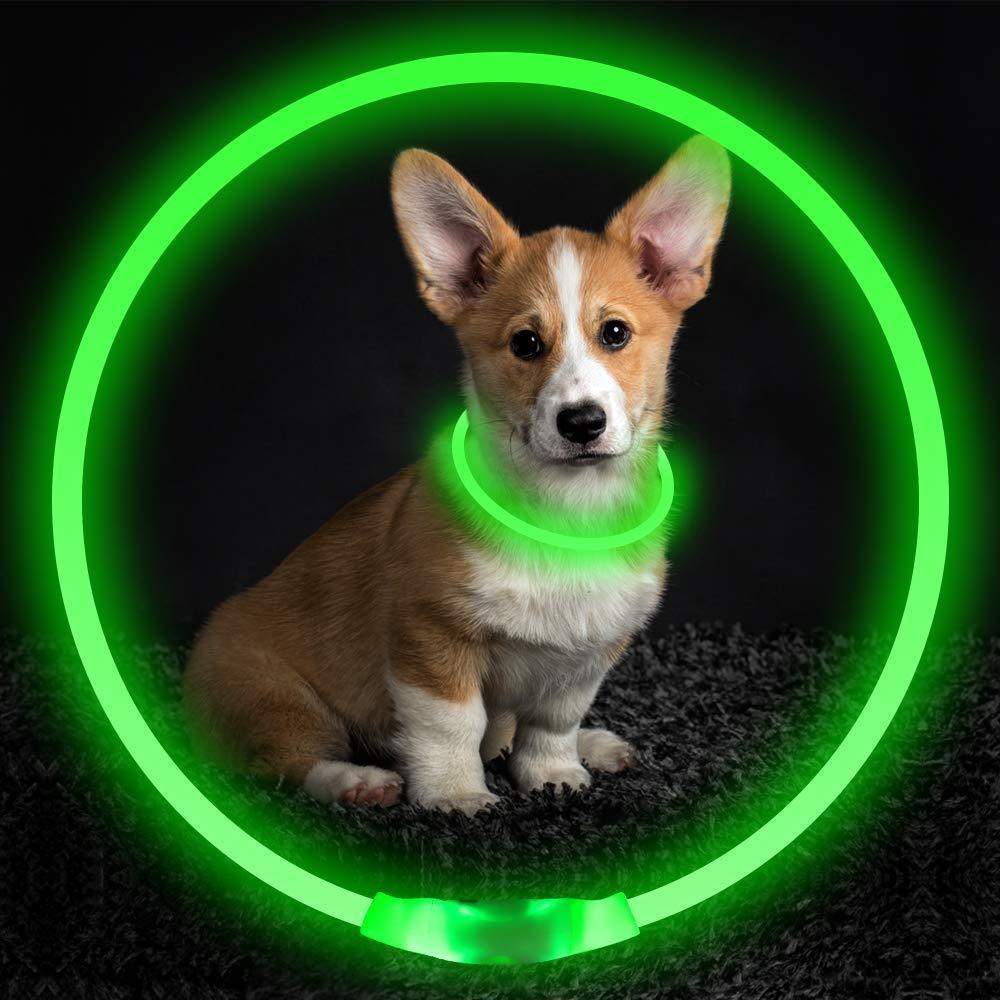 USB Rechargeable  Dog Glowing Collar