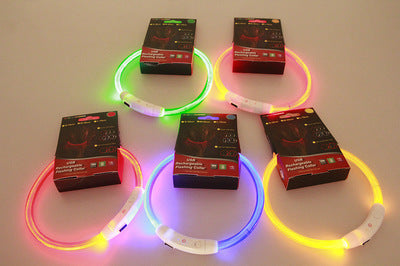 USB Rechargeable  Dog Glowing Collar